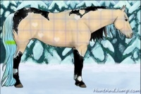 Horse Color:Watercolor Plaid Brown Dun Tobiano