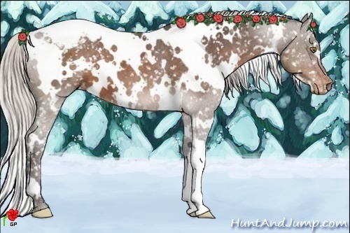 Horse Color:White Spotted Silver Brown Snowflake Varnish