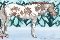 Horse Color:White Spotted Silver Brown Snowflake Varnish