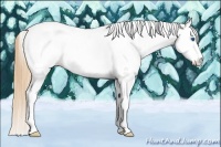 Horse Color:White Spotted Chestnut Splash Tobiano 