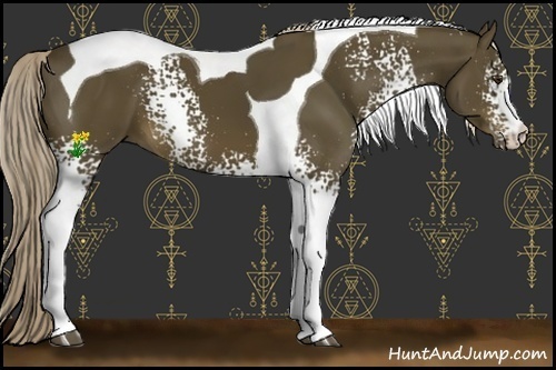 Horse Color:White Spotted Chocolate Palomino Tobiano 