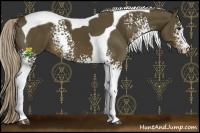 Horse Color:White Spotted Chocolate Palomino Tobiano 