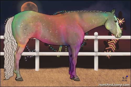 Horse Color:Silver Black Splash Frame 