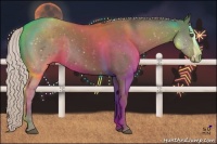 Horse Color:Silver Black Splash Frame 