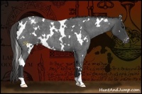 Horse Color:White Spotted Smoky Blue Roan Varnish