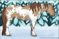 Horse Color:White Spotted Red Dun