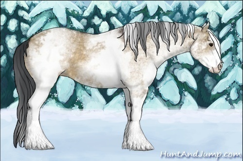 Horse Color:White Spotted Brown Dun 