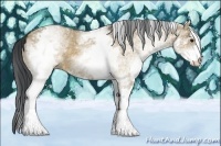 Horse Color:White Spotted Brown Dun