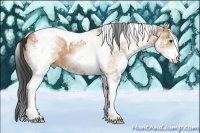 Horse Color:White Spotted Bay Dun Tobiano 