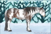 Horse Color:White Spotted Bay Varnish 