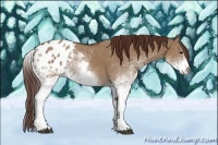 Horse Color:White Spotted Bay Dun Varnish