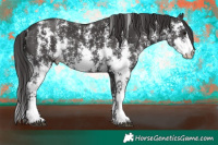 Horse Color:Smoky Black Sabino Rabicano 