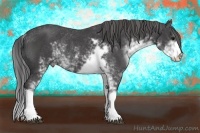 Horse Color:Smoky Black Sabino Rabicano 