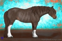 Horse Color:Liver Chestnut Rabicano