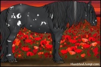 Horse Color:White Spotted Black 