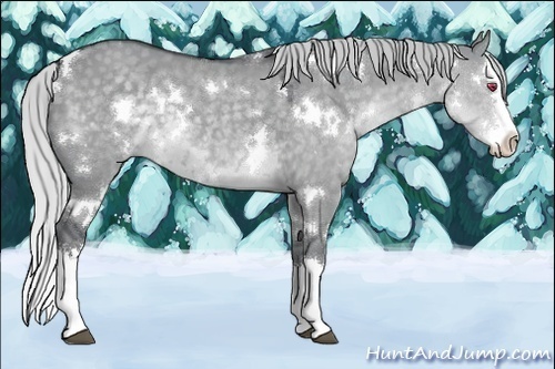 Horse Color:White Spotted Silver Grullo Chinchilla Splash