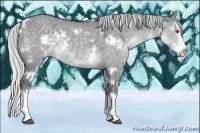 Horse Color:White Spotted Silver Grullo Chinchilla Splash 