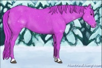 Horse Color:Watercolor Chestnut Appaloosa 