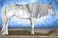 Horse Color:White Spotted Silver Blue Chinchilla Roan Splash 
