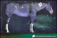 Horse Color:White Spotted Grullo Chinchilla Splash 