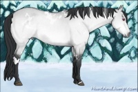 Horse Color:White Spotted Brown Chinchilla Dun