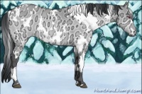 Horse Color:White Spotted Brown Chinchilla Ice Dun 