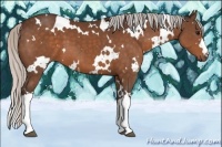 Horse Color:White Spotted Silver Brown