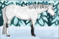 Horse Color:White Spotted Silver Brown Chinchilla Dun 