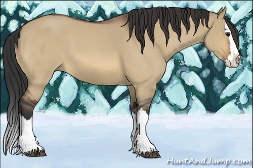 Horse Color:Bay Roan Dun Splash 