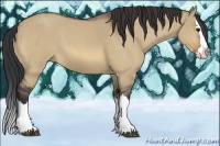 Horse Color:Bay Roan Dun Splash