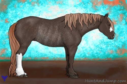 Horse Color:Liver Chestnut Rabicano 