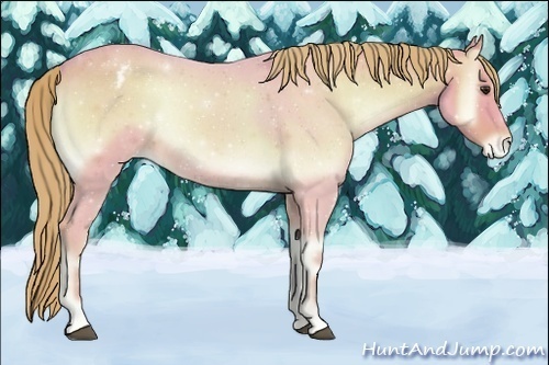 Horse Color:Watercolor Red Onyx Roan Appaloosa Rabicano 