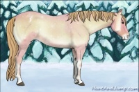 Horse Color:Watercolor Red Onyx Roan Appaloosa Rabicano 