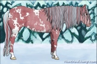 Horse Color:Painted Watercolor White Spotted Liver Chestnut Appaloosa Rabicano 