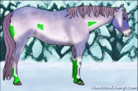 Horse Color:Watercolor Red Onyx Roan Rabicano
