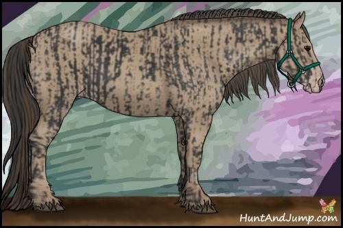 Horse Color:Black  and Classic Champagne 