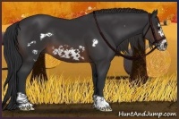 Horse Color:Brown Frame 