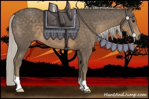 Horse Color:Silver Smoky Black 