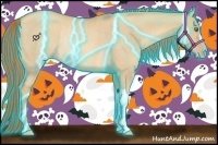 Horse Color:Thunderstruck Gold Champagne Dun Rabicano 