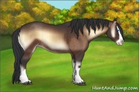 Horse Color:Brown Onyx Splash Rabicano