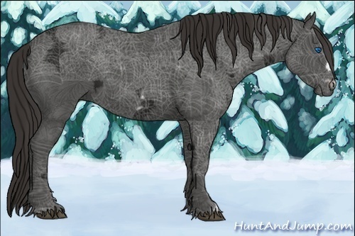 Horse Color:Liver Chestnut Ice Frame 