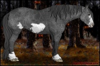 Horse Color:Black Frame 