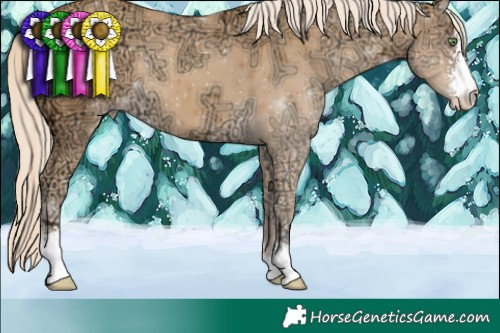 Horse Color:Gold Cream Champagne Ice Sabino