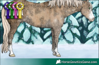 Horse Color:Gold Cream Champagne Ice Sabino 