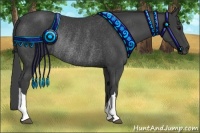 Horse Color:Smoky Black Rabicano 