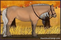 Horse Color:Silver Buckskin 