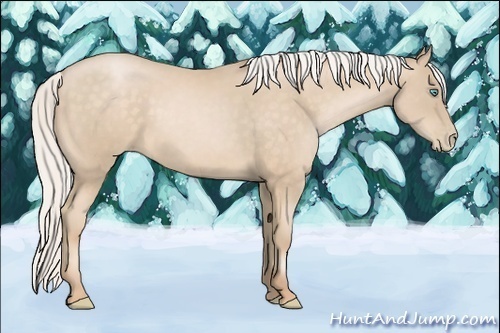 Horse Color:Silver Buckskin Pearl 