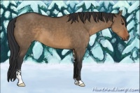 Horse Color:Brown Dun Sabino