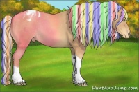 Horse Color:Painted Silver Classic Champagne Tobiano Appaloosa Rabicano 