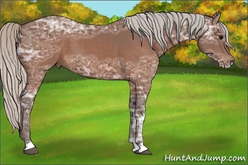 Horse Color:Silver Brown Ice 